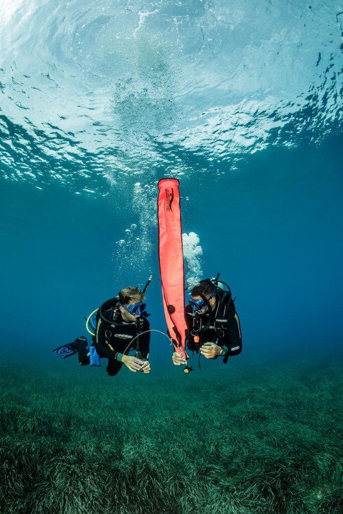 Kalpitiya marine life scuba diving