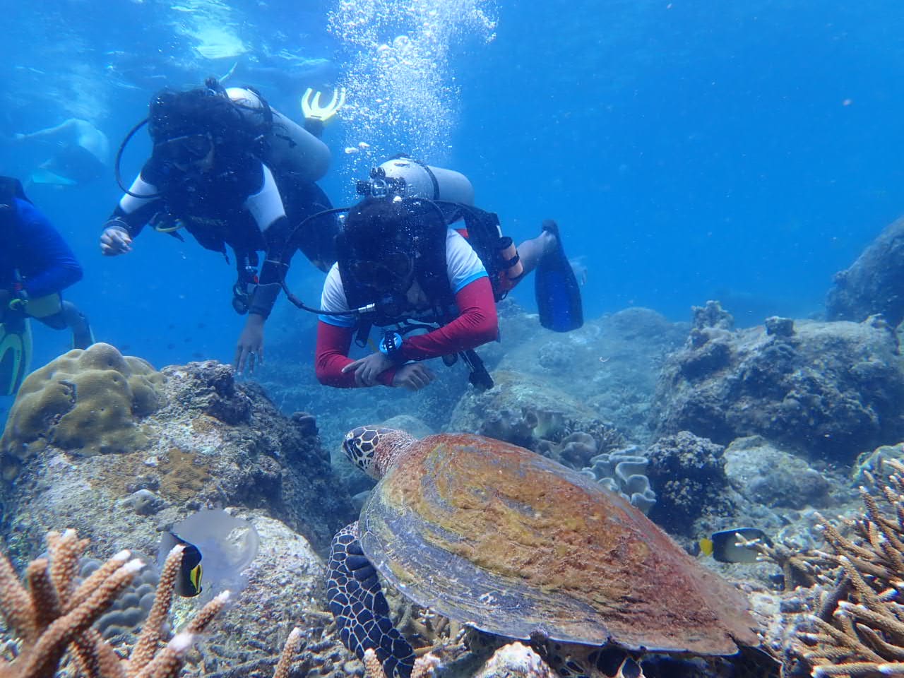 Kalpitiya scuba diving instructor guiding divers